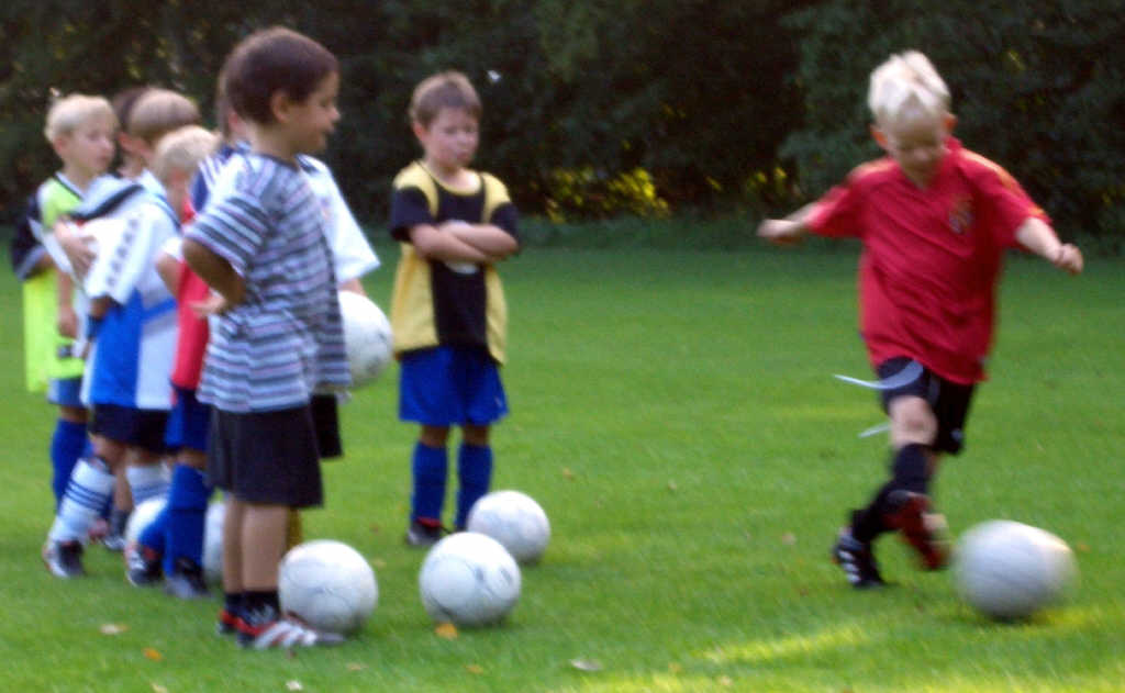 Bilder vom Training der Minis im September 2004