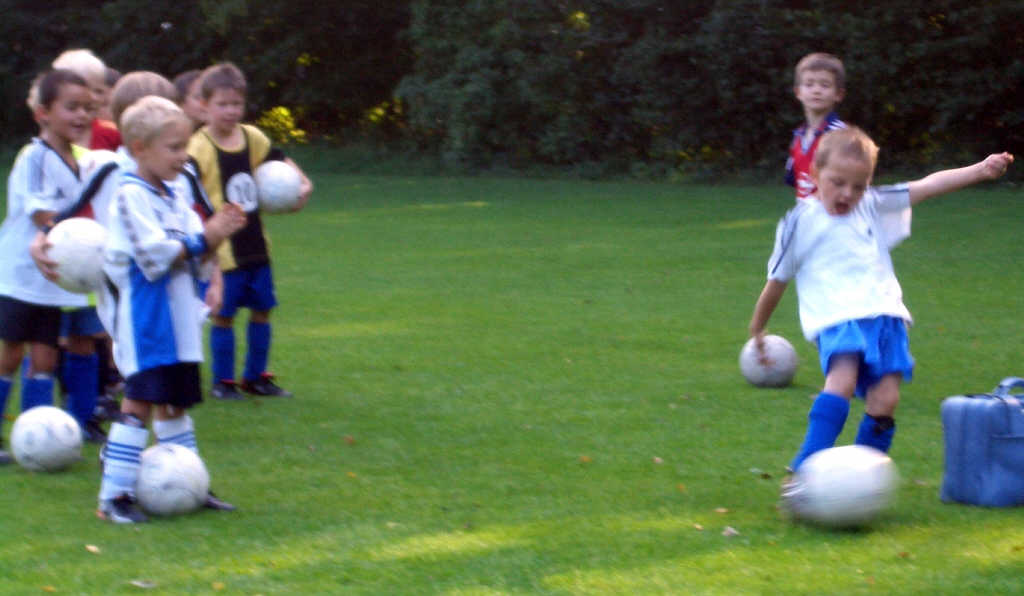 Bilder vom Training der Minis im September 2004