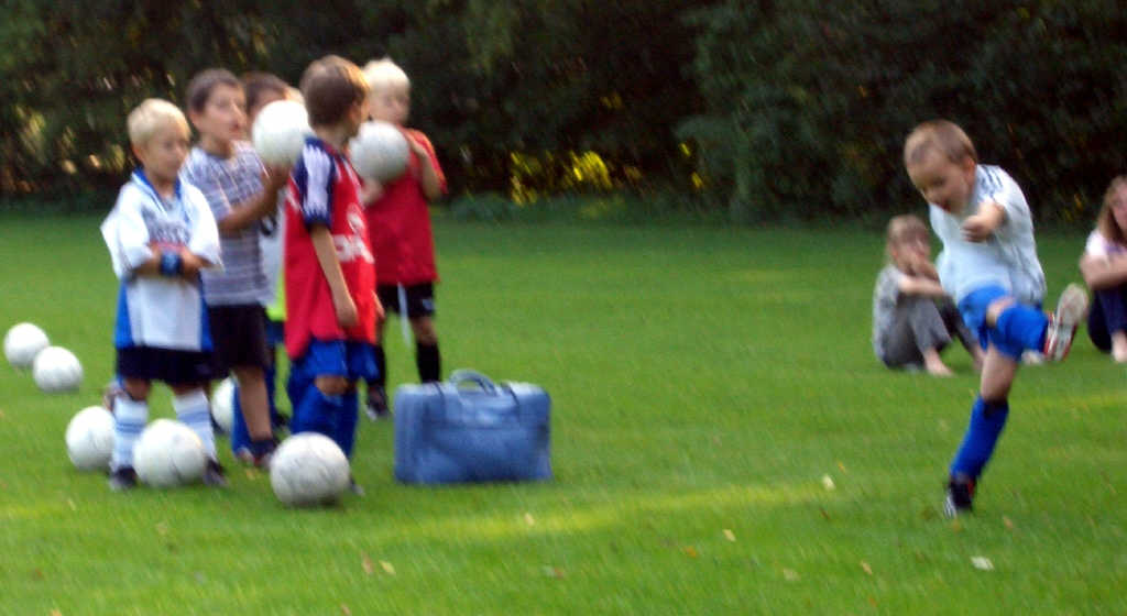 Bilder vom Training der Minis im September 2004