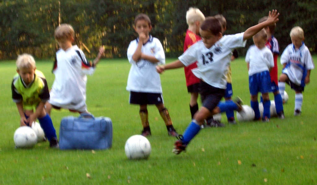 Bilder vom Training der Minis im September 2004